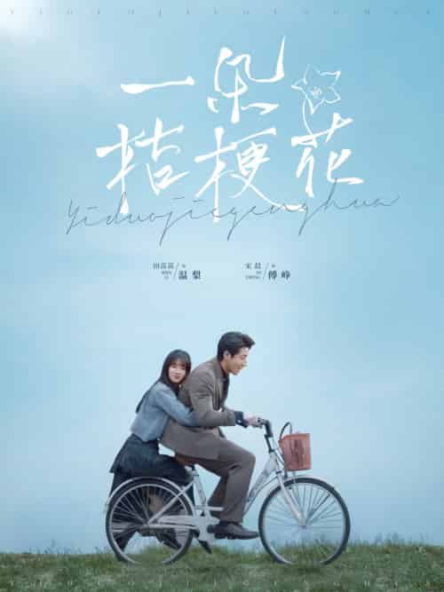 一朵桔梗花（71集全）宋晨＆田苗苗-紫橙资源网