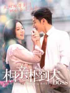 相亲相到大boss（101集）-紫橙资源网