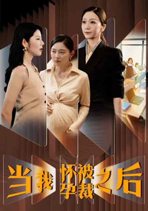 当我怀孕被裁之后(30集)-紫橙资源网
