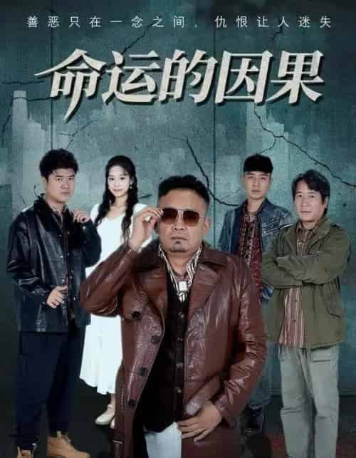 命运的因果（60集全）贾楠＆刘诣文-紫橙资源网