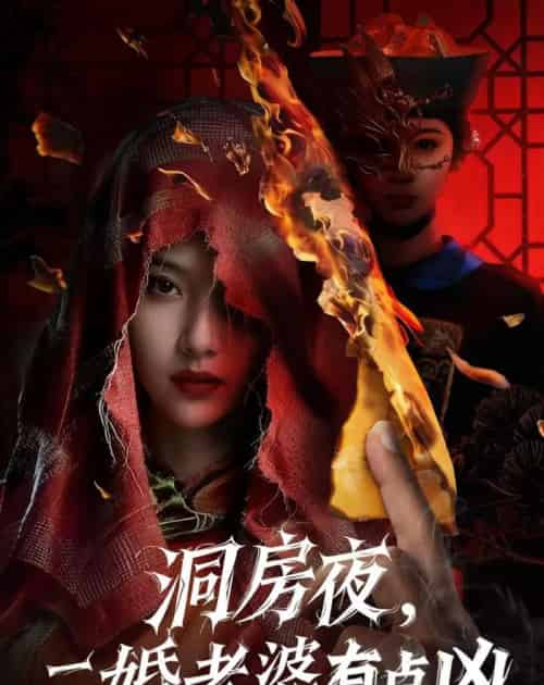 洞房夜,二婚老婆有点凶(66集全)樊磊&李奕璇-紫橙资源网