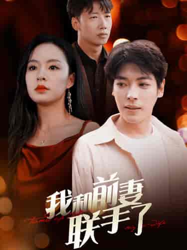 我和前妻联手了(40集)-紫橙资源网