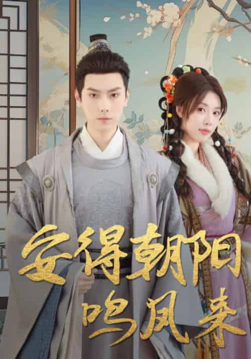 安得朝阳鸣凤来（33集全）许宵＆唐婉-紫橙资源网