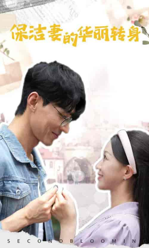 保洁妻的华丽转身（50集全）-紫橙资源网