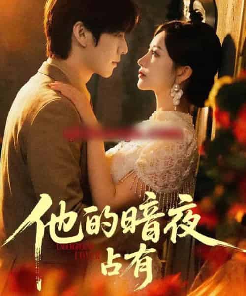 他的暗夜占有（71集全）袁初年＆阿君-紫橙资源网