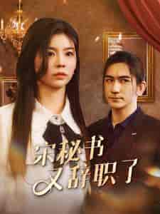 宋秘书又辞职了 宋秘书又辞职了