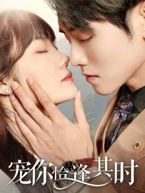 宠你恰逢其时（60集全）-紫橙资源网