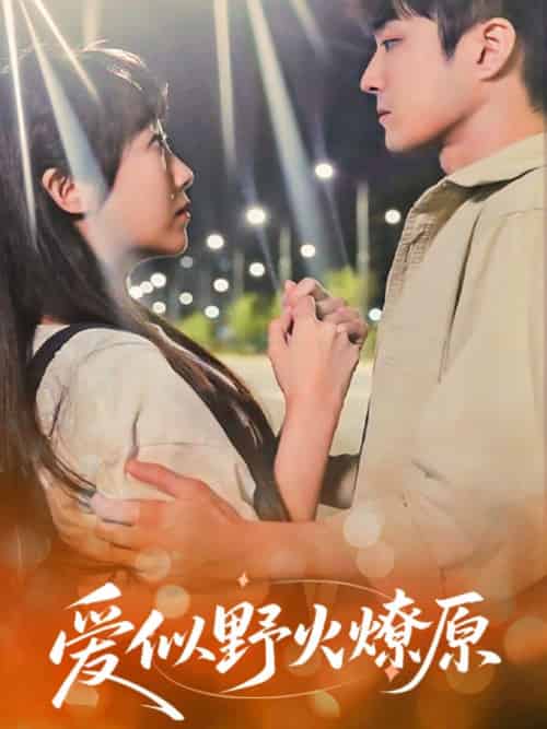 爱似野火燎原（47集）刘博文＆景晓媚-紫橙资源网