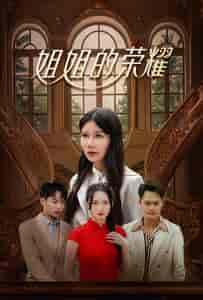 姐姐的荣耀（30集全）-紫橙资源网