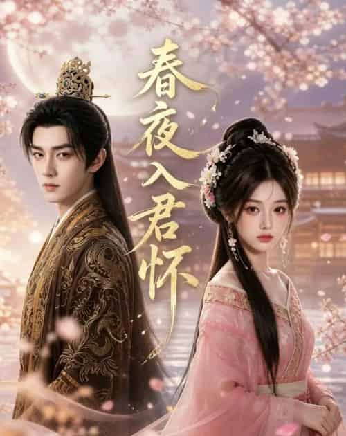 春夜入君怀(65集全)AI-紫橙资源网