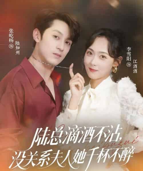 陆总滴酒不沾,没关系夫人她千杯不醉(46集)张屹杨&李雪阳-紫橙资源网