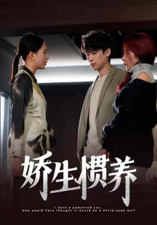 娇生惯养(15集)-紫橙资源网