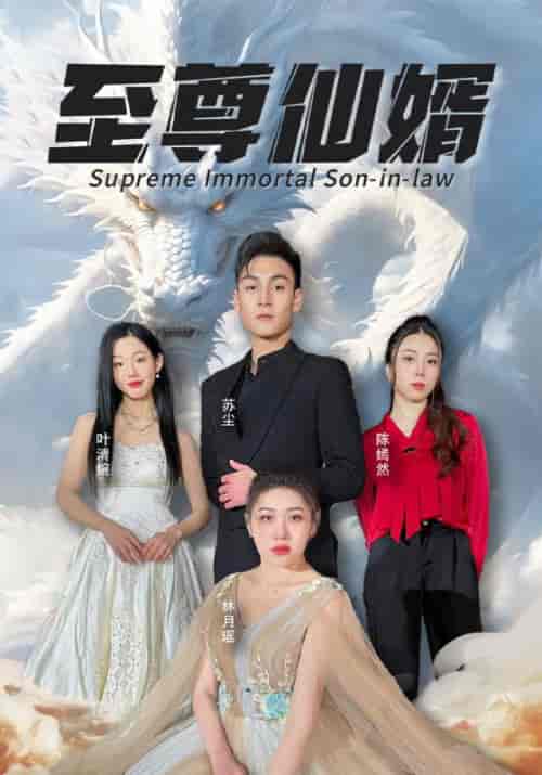至尊仙婿（100集全）苏尘＆林月瑶 - 紫橙短剧