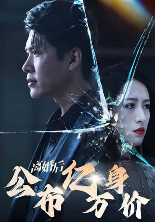 离婚后公布亿万身价(101集全)艾潇潇-紫橙资源网