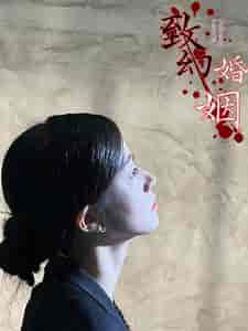 致幻婚姻(100集)-紫橙资源网