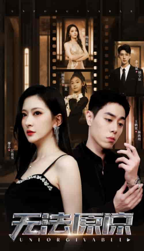 无法原谅(70集)-紫橙资源网