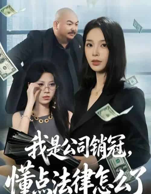 我是公司销冠，懂点法律怎么了（66集全）龙梓妍＆诸葛迪迪-紫橙资源网
