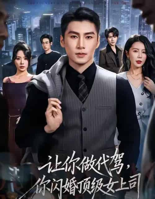 让你做代驾，你闪婚顶级女上司（83集全）陈祥铖＆丁海霞-紫橙资源网