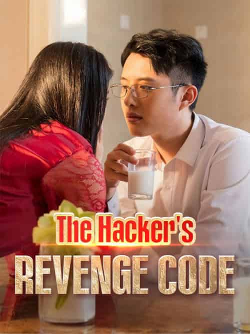 The Hacker＆#039;s Revenge Code（DUBBED）（34 episodes）-紫橙资源网