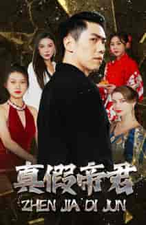 真假帝君（83集）-紫橙资源网