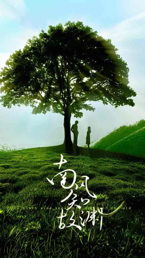 南风知故渊（80集）-紫橙资源网