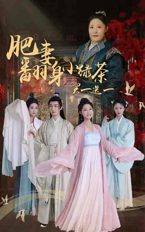 肥妻翻身小绿茶买一送一（65集全）张震-紫橙资源网