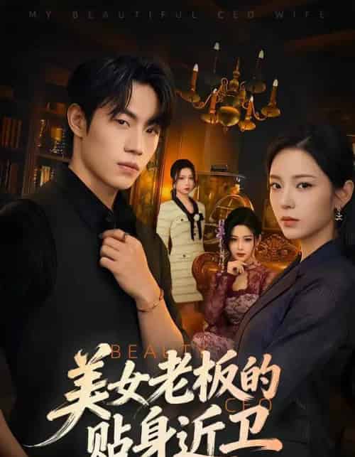 美女老板的贴身近卫(60集全)敖日格乐&邱卓雅-紫橙资源网