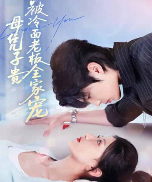 母凭子贵被冷面老板全家宠(60集全)闻至承&董瑷宁-紫橙资源网