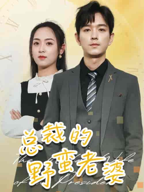 总裁的野蛮老婆(75集)李雪阳-紫橙资源网