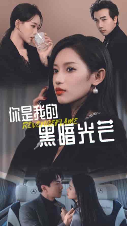 你是我的黑暗光芒(81集)-紫橙资源网