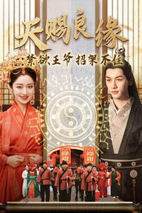 天赐良缘禁欲王爷招架不住（70集全）马千欢＆戴琪轩-紫橙资源网