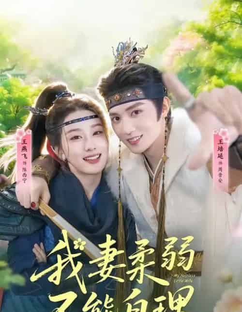 我妻柔弱不能自理（72集全）王培廷＆王燕飞-紫橙资源网