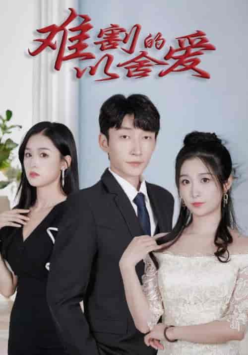 难以割舍的爱（46集全）沈天骐＆苏亦涵-紫橙资源网