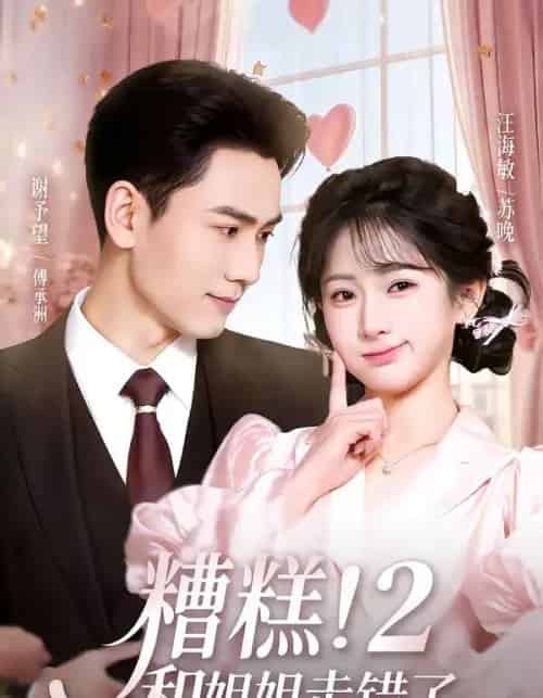 糟糕！和姐姐走错了第2部（80集全）谢予望＆汪海敏-紫橙资源网