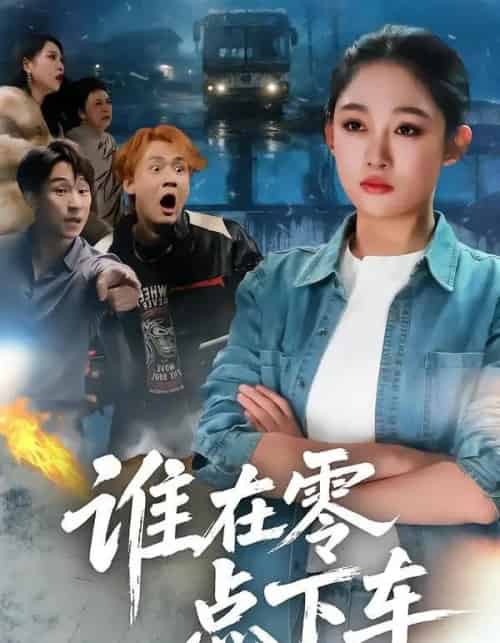 谁在零点下车（63集全）张亚迪＆魏战-紫橙资源网