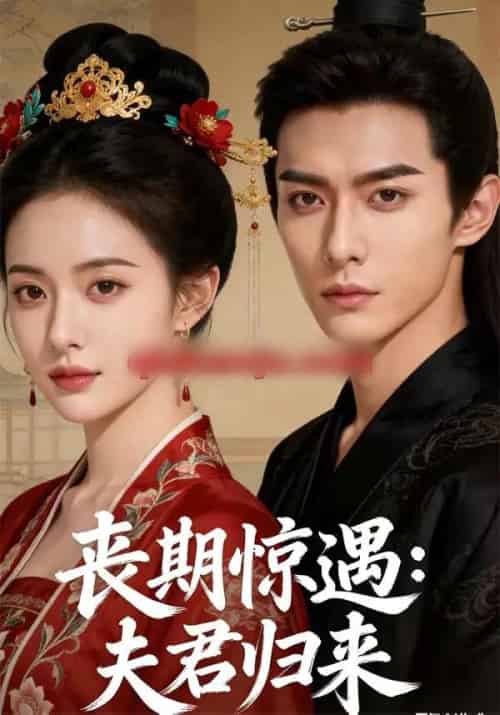 丧期惊遇:夫君归来(49集全)AI-紫橙资源网