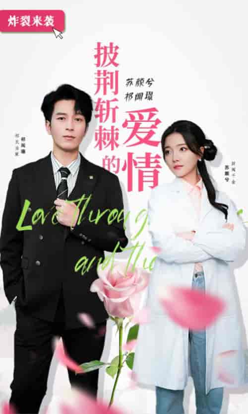 披荆斩棘的爱情（90集）-紫橙资源网