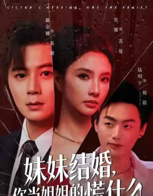 妹妹结婚,你当姐姐的慌什么(53集全)戴金麟&焦娜-紫橙资源网