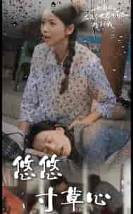 新版：悠悠寸草心（76集）-紫橙资源网