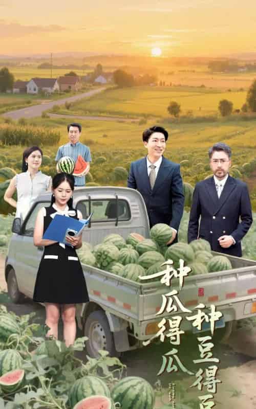 种瓜得瓜种豆得豆(30集)刘丽&陈子轩-紫橙资源网