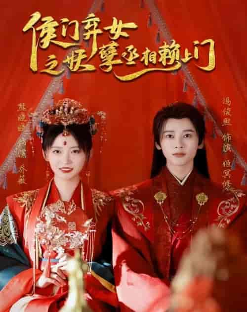 侯门弃女之妖孽丞相赖上门（93集）-紫橙资源网