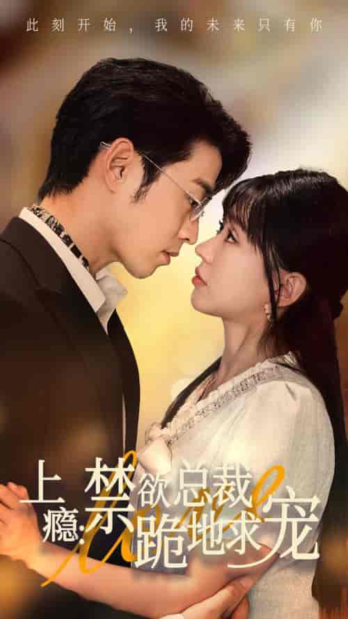 上瘾:禁欲总裁跪地求宠(50集)-紫橙资源网