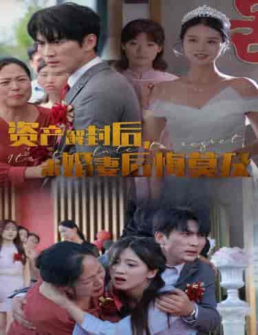 资产解封后,未婚妻后悔莫及&新版:破茧(60集全)-紫橙资源网