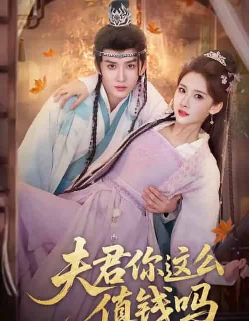 夫君你这么值钱吗（64集全）毕宸睿＆宋昭艺-紫橙资源网