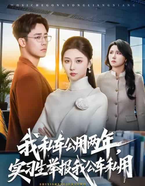 我私车公用两年，实习生举报我公车私用（63集全）程雅昭＆车婷婷-紫橙资源网