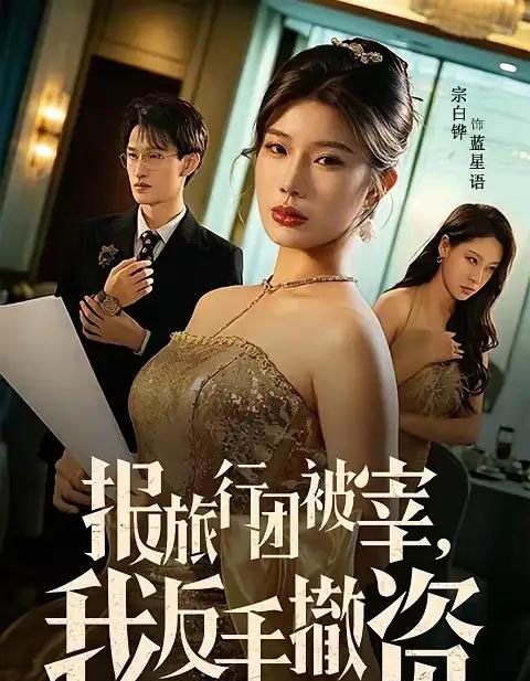 报旅行团被宰，我反手撤资（59集全）宗白铧＆王宏扬-紫橙资源网