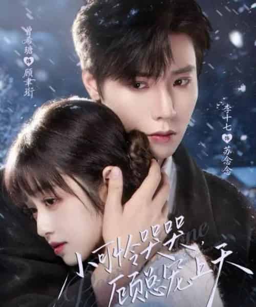 小可怜哭哭,顾总宠上天&小可怜揣崽顾总宠上天(77集全)曾希瑭&李十七-紫橙资源网