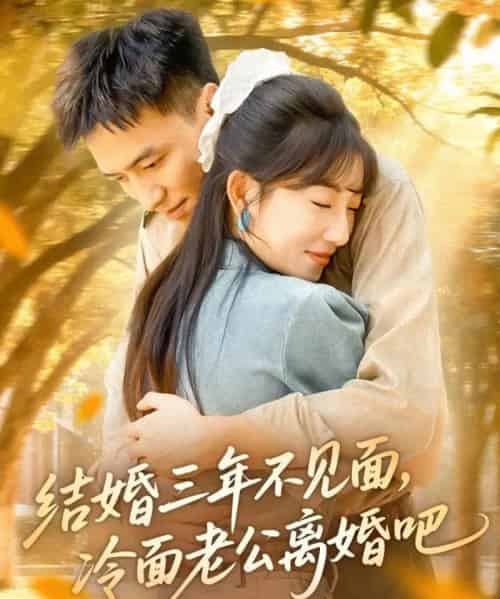 结婚三年不见面，冷面老公离婚吧（67集全）刘乂宇＆孙丛珊-紫橙资源网