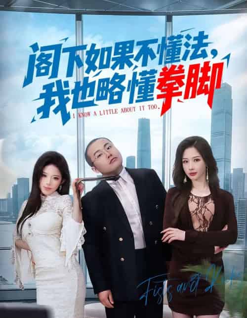 阁下如果不懂法，我也略懂拳脚（77集全）魏华＆徐诗颖-紫橙资源网