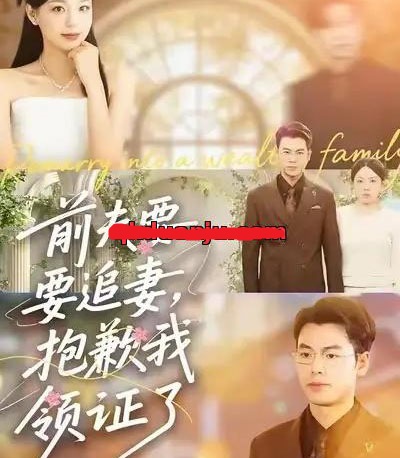 前夫要追妻，抱歉我领证了（81集全）柏欢洲＆刘煜烨-紫橙资源网